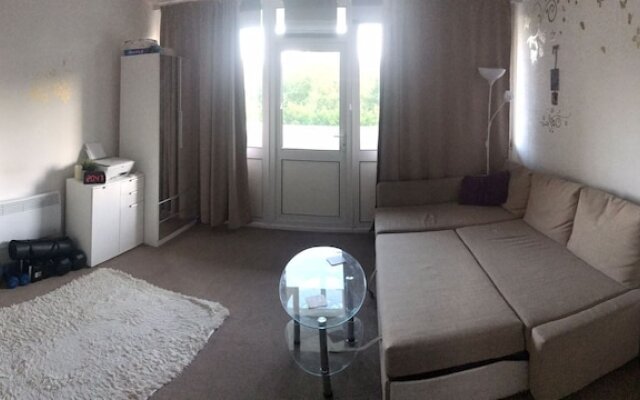 Impeccable Studio Apartment by the London Eye