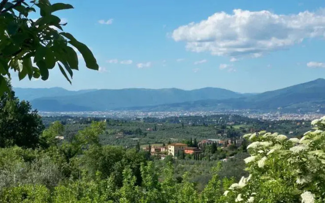Agriturismo Podere Capiteto