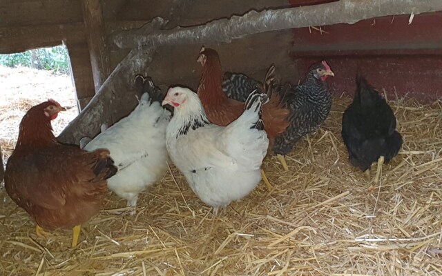 La Fermette des Ramolleux