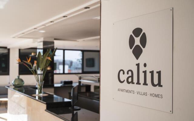 Beatrix 2000 - Caliu apartments