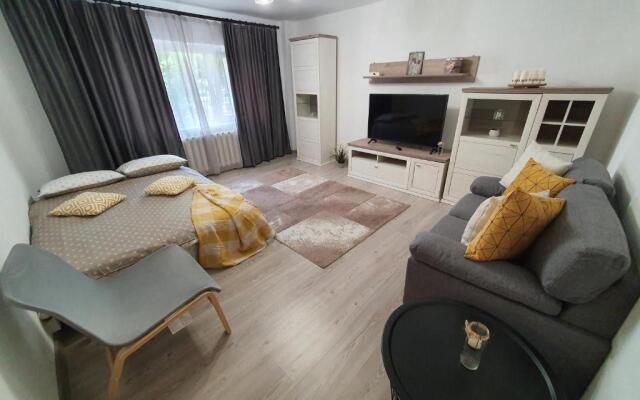 MIA Central, Large Apart, 3 rooms, 2 baths, AFI Mall