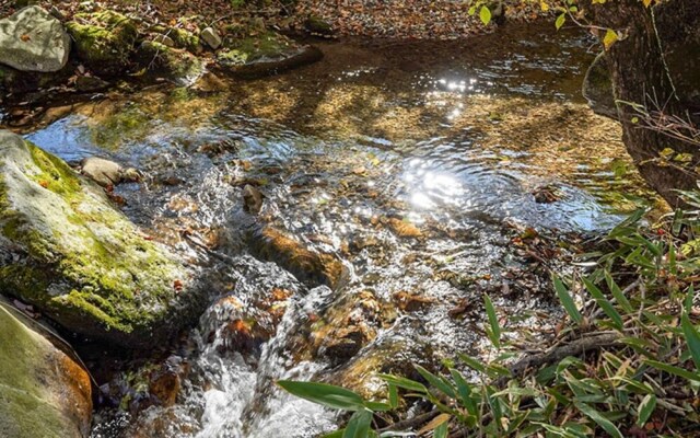 Pyeongchang Rocca and Delfino Pension