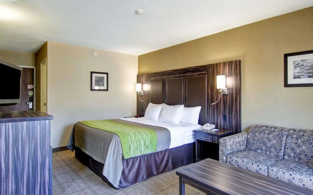 Comfort Inn St. Catharines - Hotel in St. Catharines - Photo 5