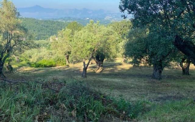 Naples Countryside, one of a Kind Dome Experience