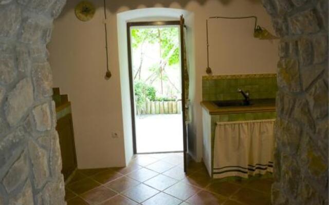 Apartments Cvita