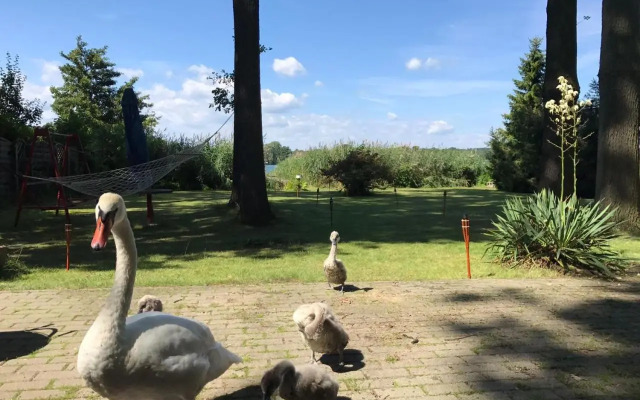 Ferienhaus direkt am See