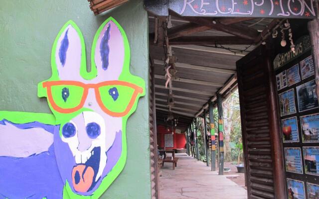 Amapondo Backpackers