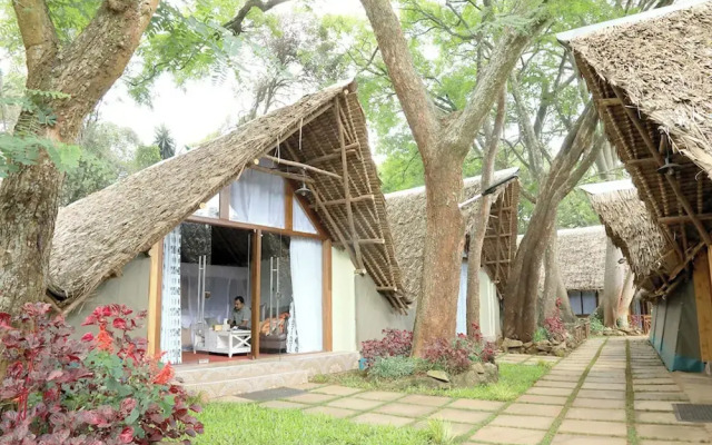 The Giraffe Cottage