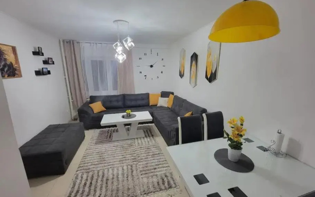 Spacious Apartment in Novi Sad