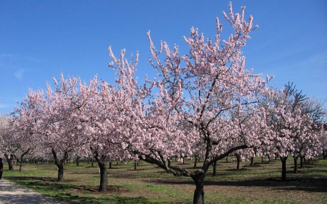 Finca Horreo