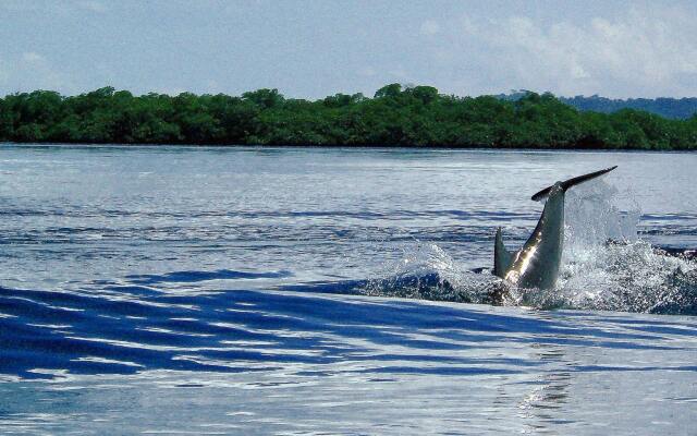Punta Caracol Acqua Lodge