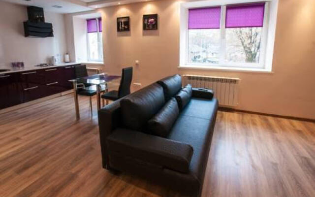 Studio Apartment on Karbysheva
