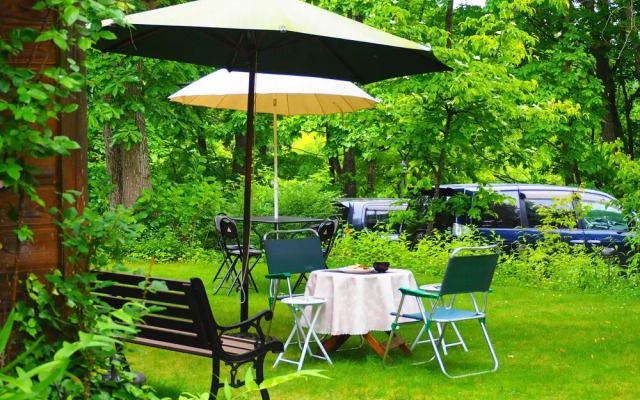 Pension Snowfall Meteor