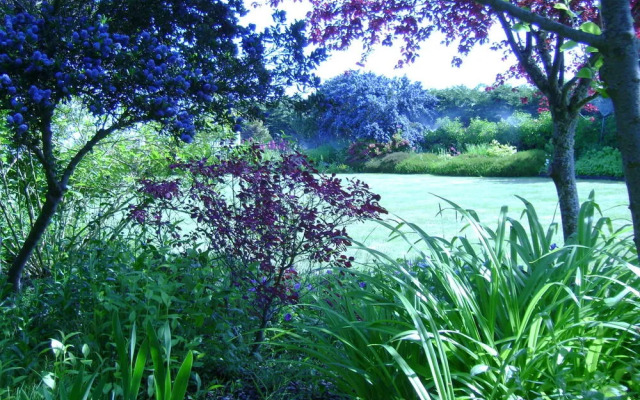 Sea Cliff Gardens Bed & Breakfast