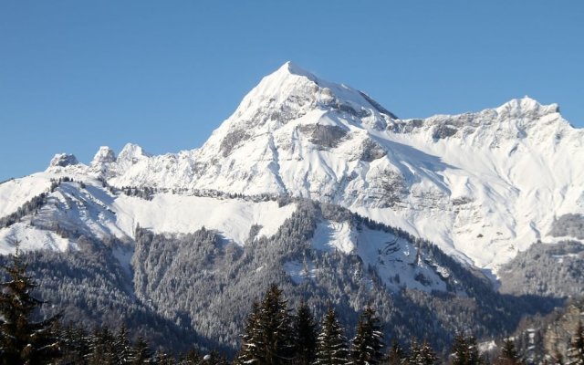 Aux Chalets Des Alpes Chalets 10