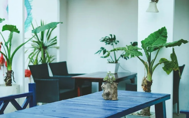 Dalat Blue House Homestay & Cafe