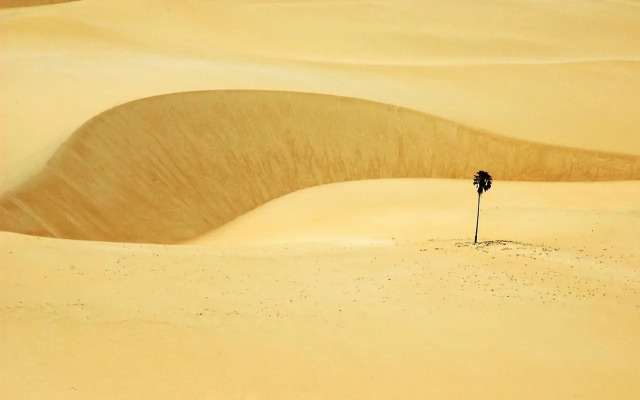 Pousada Tranquilândia Village