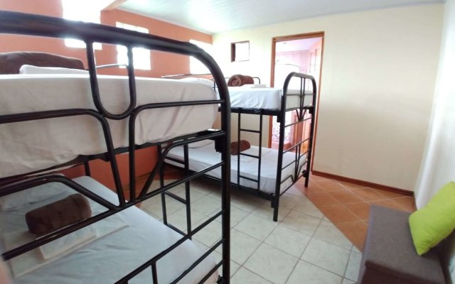 Hotel Roble Urbano - Hostel