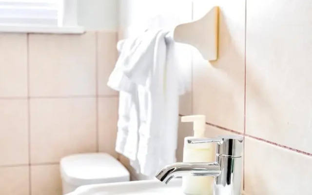 Spacious 1BR Apt With King Bed and Netflix Near Downtown