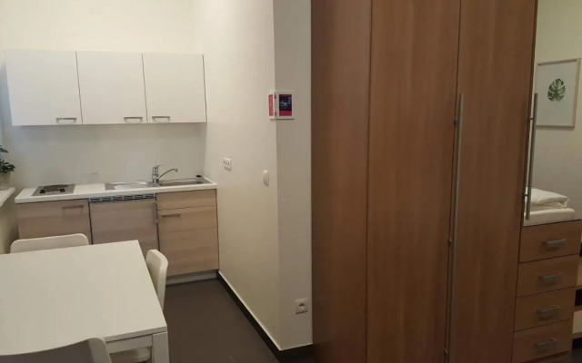 City Center Apartments Linz