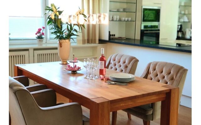 Penthouse at the Museumsberg