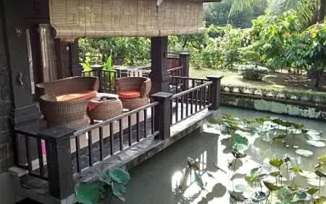Natural Lodge 2