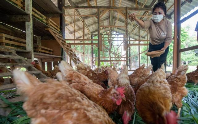 The Legacy River Kwai Resort