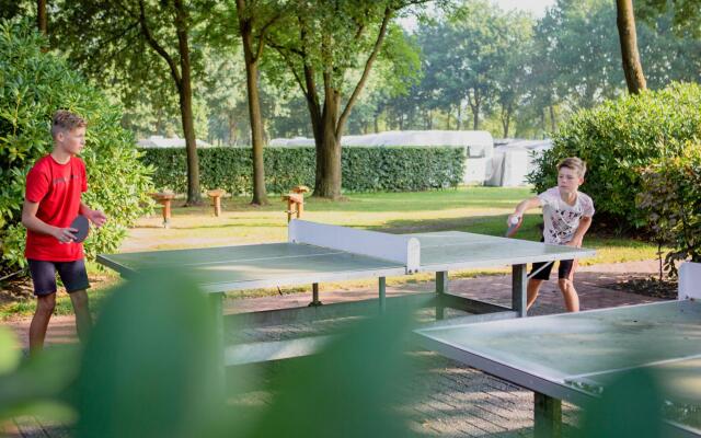 Tiny House in Brabant With Cozy Terrace