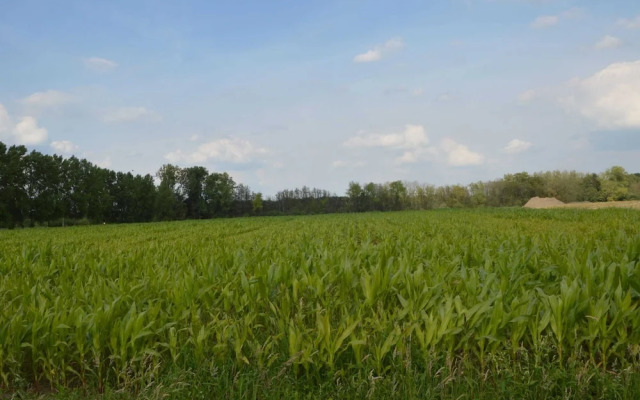Country House in a Hotel Atmosphere With Sauna in Swolgen