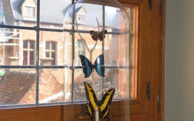 B&B De Vrome Vos