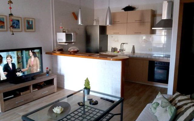 House with 2 Bedrooms in Arona, with Furnished Terrace And Wifi - 2 Km From the Beach