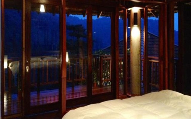 The Shorea