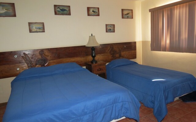 Hotel Malarrimo by Rotamundos