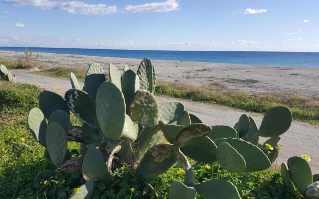 Magna Grecia B&B e Appartamenti