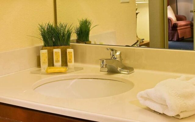 Residence Inn Denver South/Park Meadows Mall