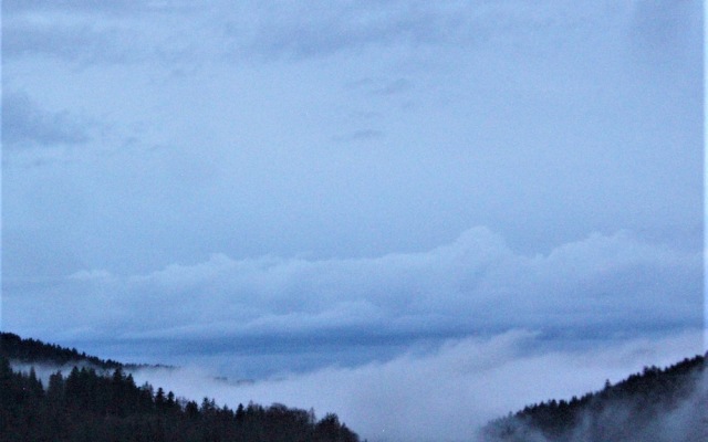 Berghotel Schwarzwaldblick Triberg