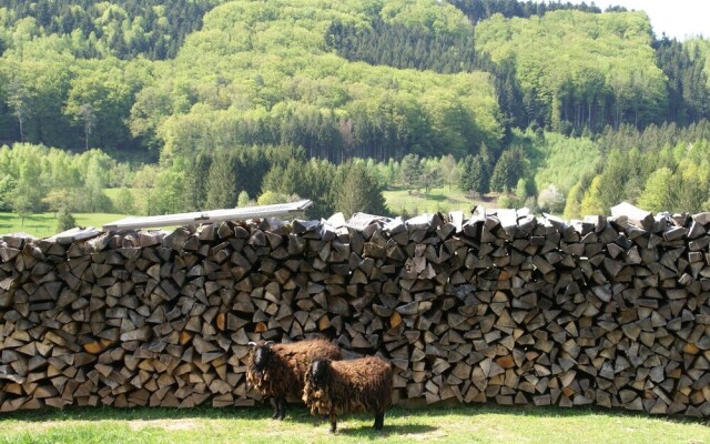 Cute And Atmospheric Chalet with Magnificent View in the Middle of the Vosges