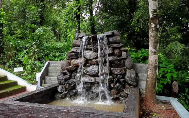 Young Island - Coorg