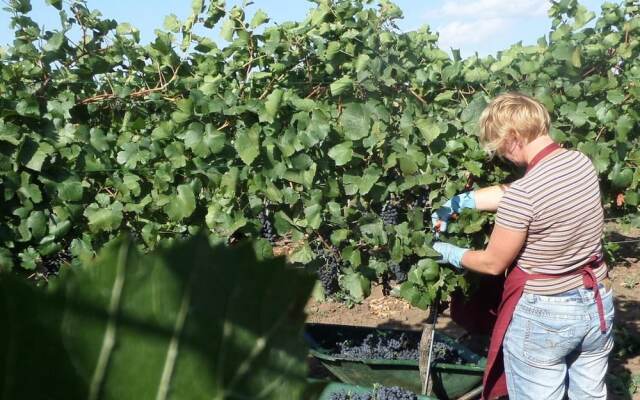 Hotel Weingut Rosenhof