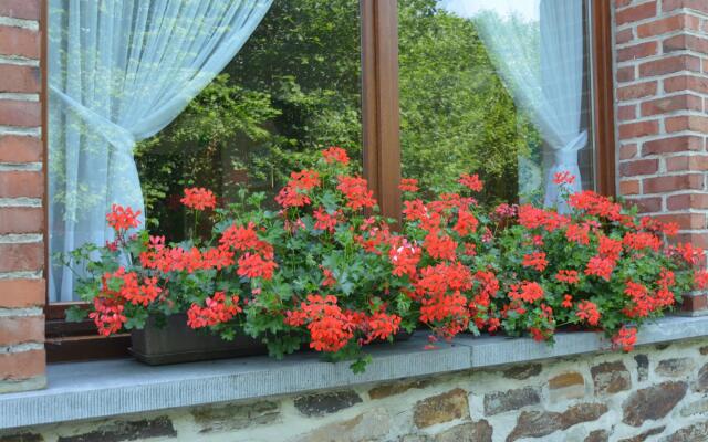 Holiday Home in Daverdisse With Garden