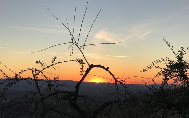 Holidays In The Heart Of Chianti