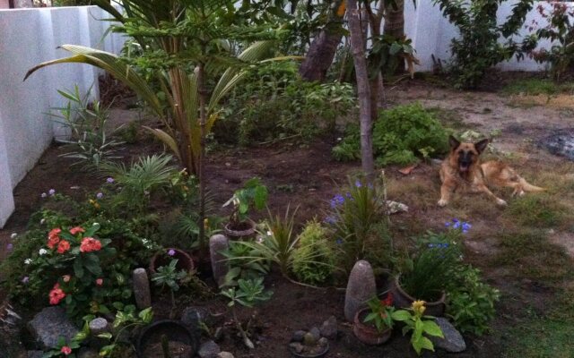Francis Homestay