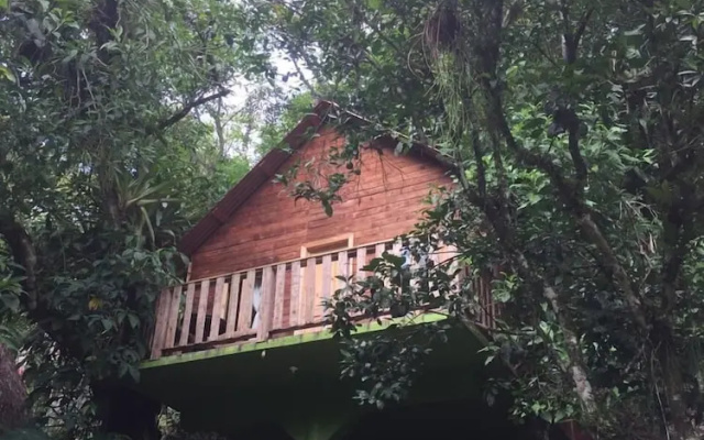 Cabañas y Casas del Árbol La Huerta