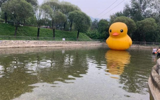 Qingqing Villa (Beijing Qidu Store)