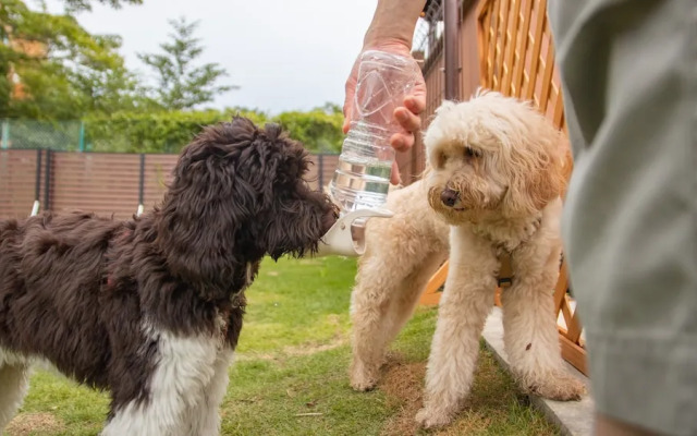 Gramercy Village Yamanakako Glamping & Sauna