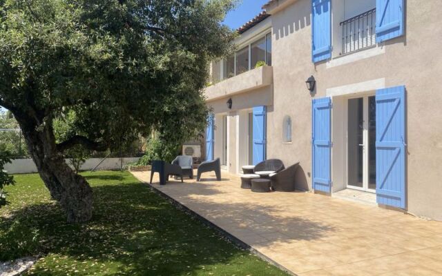 House Gazanias Bormes-les-Mimosas