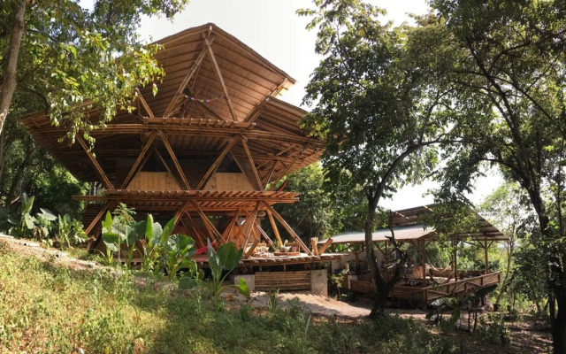 Wild Child Village