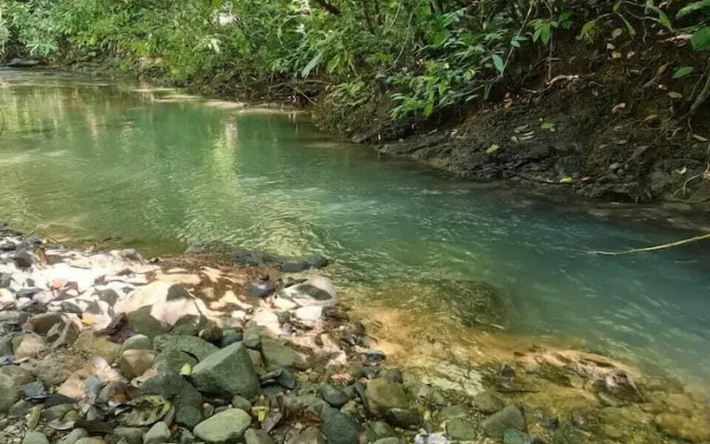 Cool Waters Jungle Villas