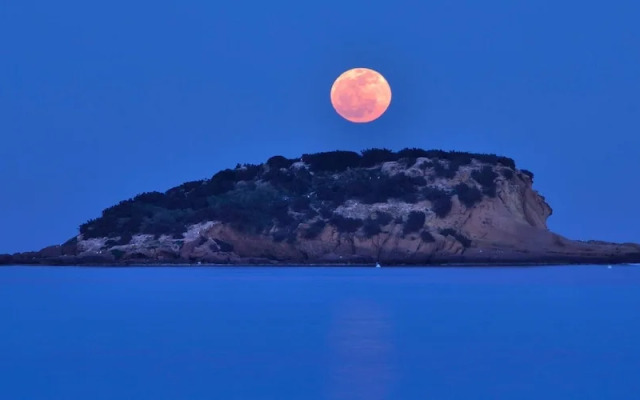 Second Line Beach, Pool, Fast Wifi