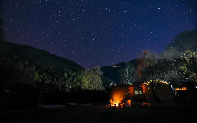 Monkey Mud Hostel And Camps